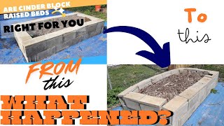 Updated Pros and Cons For The Concrete Block Raised Bed [upl. by Stedmann26]