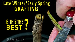 BEST GRAFTING TECHNIQUE in early SPRING  Grafting Fruit Trees [upl. by Nnaeoj]