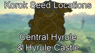 Breath of the Wild Korok Seed Guide  Central Hyrule amp Hyrule Castle [upl. by Marvella]