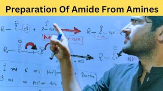 Preparation Of Amide From Aminesreaction mechanism for class 12 [upl. by Osbourne251]