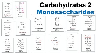 Carbohydrates 2  Monosaccharides  Aldoses  Ketose  Triose  Pentose  Hexose  Dr Ghanshyam [upl. by Aronoel151]