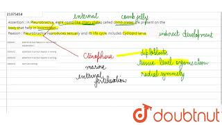 Assertion  In Pleurobrachia eight comblike ciliary plates called cmob plates are present [upl. by Lyon]