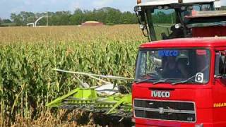 Claas Jaguar 960 e 850  Insilato stalla sociale di Monastier [upl. by Kellene]