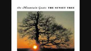 The Mountain Goats  This Year [upl. by Nirda]