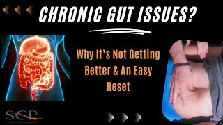 Chronic Gut Issues Why Its Not Getting Better [upl. by Idolem]