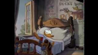 Donald Duck Cartoons Full Episodes [upl. by Nylram]