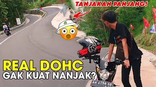 REAL DOHC GAK SEBAGUS ITU SATRIA FU [upl. by Annenn320]