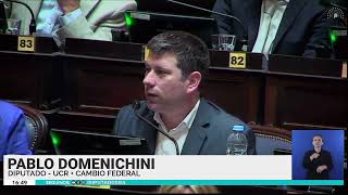 Diputado Pablo Domenichini  Sesión 15 de agosto de 2024 [upl. by Niwroc]