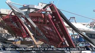 Termoli manca ormai poco più di una settimana al fermo pesca [upl. by Nilcaj]