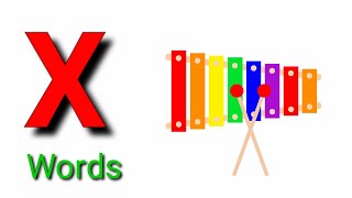 X Letter Words with pictures  Kindergarten  LkG  Nursery  Alphabet Song  ABC Song [upl. by Ardnaid]