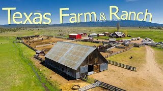 How Texas Farmers Are Running 247000 Farms And Ranches  Farming Documentary [upl. by Emily]