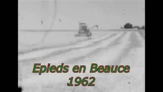 Moisson Epieds 1962 CLAAS SF [upl. by Maggio]