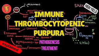 IMMUNE THROMBOCYTOPENIC PURPURA Pathogenesis Mechanism of clinical symptoms ITP Treatment [upl. by Gignac]