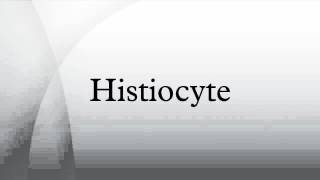 Histiocyte [upl. by O'Donovan]