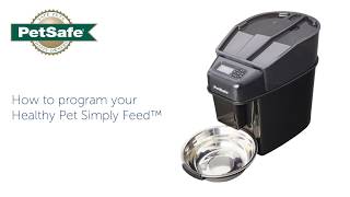 How To Program your PetSafe® Healthy Pet Simply Feed™ [upl. by Nivrehs998]