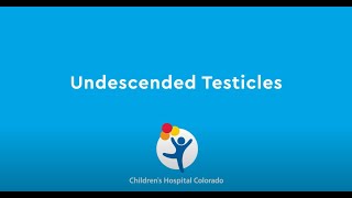 What are Undescended Testicles [upl. by Ylluz]