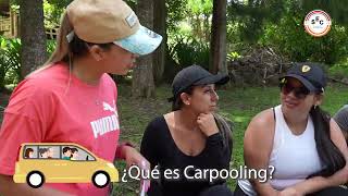 ¿QUÉ ES CARPOOLING [upl. by Yokoyama]