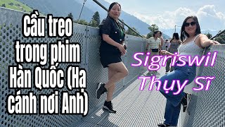 Đi cầu treo Sigriswil Thụy Sĩ hacanhnoianh sigriswil [upl. by Asela]