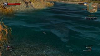 The Witcher 3 Water Physics [upl. by Leventhal]