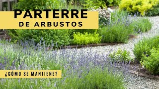 Mantenimiento básico del jardín parterre de arbustos  Bricomanía  Jardinatis [upl. by Gage851]