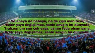 Trabzonspor Tezahüratları  Ne Anaya Ne Babaya [upl. by Chaille607]