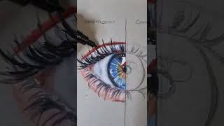 Prismacolor Premier vs Caran dAche Luminance Coloured Pencils [upl. by Enitram]