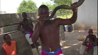 Vuvuzela African Horn  Fantastic Sound [upl. by Aderb943]