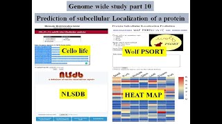 Genome wide study Part 10  Predicting protein subcellular localization [upl. by Ajup]