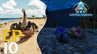 PULMONOSCORPIUS ET DUNG BEETLE  ARK SURVIVAL ASCENDED  EP10 [upl. by Geminius]