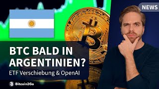 BITCOIN REVOLUTION in Argentinien  ETF verschoben Sam Altman Entlassung amp AI Hype [upl. by Friend]