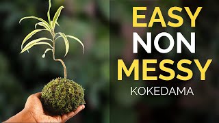 The easiest way to make a Kokedama [upl. by Novyart]