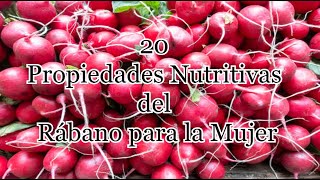 20 Propiedades Nutritivas del Rábano para la Mujer [upl. by Anneg]