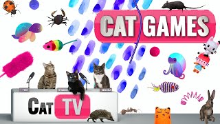 CAT Games  Ultimate Cat TV Compilation Vol 38  2 HOURS 🐝🐞🦋🦎🦜🐜🐭🧵 [upl. by Lleumas]