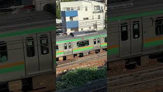 【４K映像】湘南新宿ライン 上り電車 ShonanShinjuku Line inbound train [upl. by Kciregor]