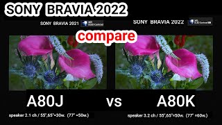 SONY A80K vs A80J compare [upl. by Acinnod81]