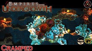 Empires of the Undergrowth  Cramped Extra Level [upl. by Jaquith747]