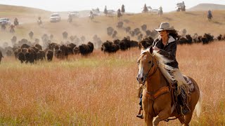 Successful South Dakota Buffalo Roundup [upl. by Eneg454]