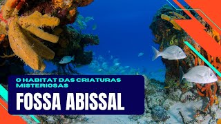 Zona Abissal e sua Biodiversidade Marinha [upl. by Eedoj]