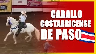 ​🐴🇨🇷​ ​​Caballo Costarricense de Paso Historia  Elegancia  Brio Costa Rica [upl. by Hannaj]