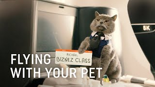 Flying with Your Pet  Turkish Airlines [upl. by Murry]