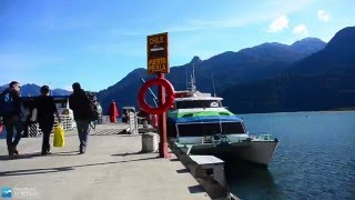 Tren Patagónico 🇦🇷  de Bariloche a Viedma en 18 horas 🚂 tren histórico [upl. by Aicnarf]