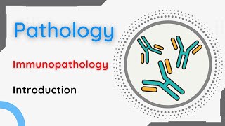 Pathology  Immunopathology  Introduction [upl. by Wiltz]