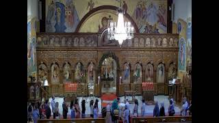 Orthros amp Divine Liturgy Palm Sunday [upl. by Ayetal655]