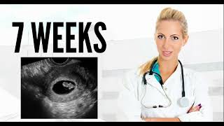 7 WEEKS ULTRASOUND 7 weeks pregnant ultrasound pregnancy ultrasound [upl. by Janik]