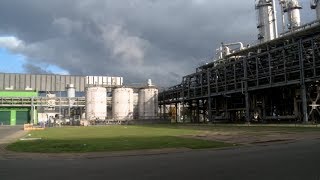 Expert An ethanol plant is not just about ethanol [upl. by Adis]