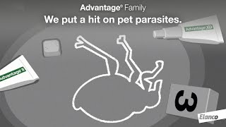 The Advantage® Family Put a Hit on Pet Parasites [upl. by Carleen]