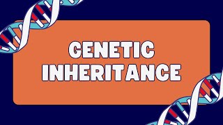 Pleiotropy Vs Epistasis Vs Polygenic inheritance [upl. by Pietro316]