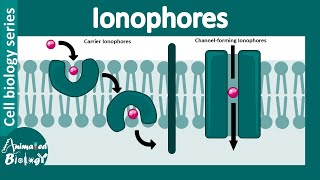 Ionophores  Carrier Ionophores  Channelforming Ionophores  Biological significance of ionophores [upl. by Shani]