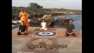 Yoga Episode 69  Sarvangasana  Yogacharya Avneesh Tiwari [upl. by Almita951]