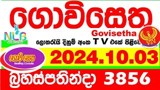 Govisetha 3856 20241003 Today Lottery Result අද ගොවිසෙත දිනුම් ප්‍රතිඵල nlb Lotherai dinum anka [upl. by Entwistle]